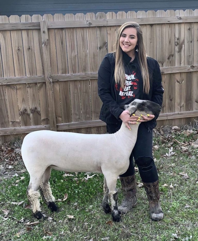 Jordan Rhodes Shows a Lamb at the County Fair