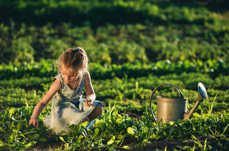 Continuing Last Year’s Garden Plans