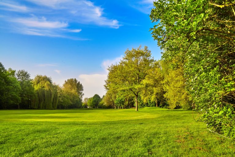 City Nature Challenge Launches Friday; Public Encouraged to Record Nature Near Their Homes