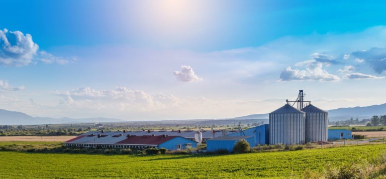 OTD in Texas, May 26th, 1975 — Historic clash leads to unionization of Texas farm workers