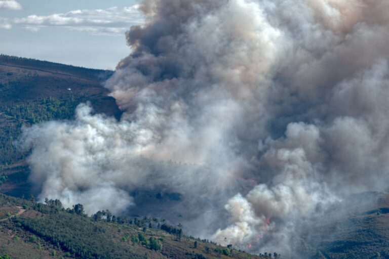 Texas A&M Forest Service urges citizens to prepare their communities for wildfire season