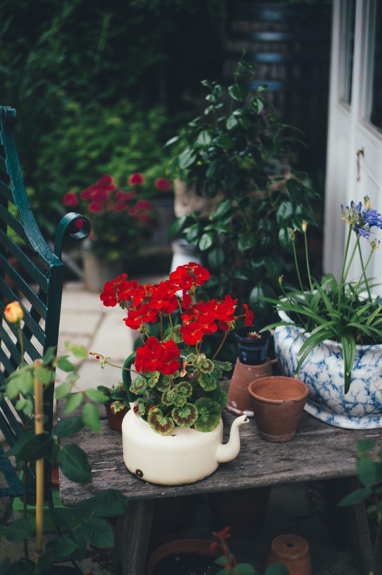 Top Tips to Plant, Grow and Care for a Container Garden