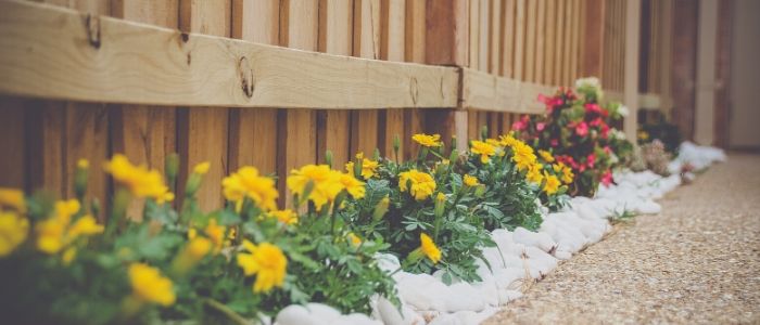 Irrigating your landscape