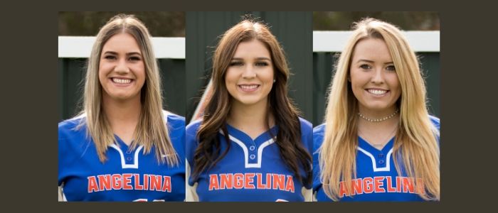 AC Softball Earns Academic All-American Honors; Six Lady Roadrunners Named to List
