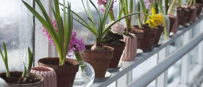 4 Home Maintenance Tips to Keep the Outdoors Outside 4 Home Maintenance Tips to Keep the Outdoors Outside