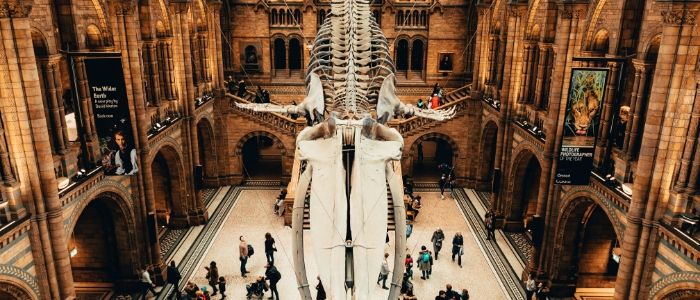 Great Online Content Can Let You ‘Visit’ a Museum This Summer