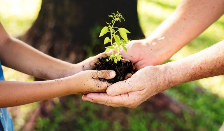 In a year like no other, Texans celebrate 2020 Arbor Day in Harker Heights, Texas – and beyond