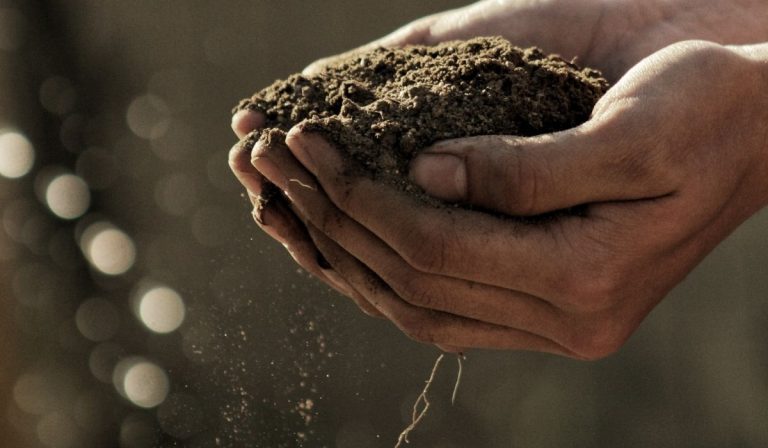 Developing an Excellent Soil