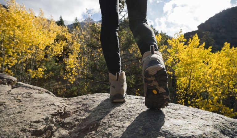 5 Hobbies to Keep Your Body and Mind Healthy and Happy