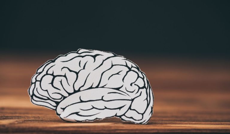 HHSC Offers Services to Survivors of Traumatic Brain Injuries