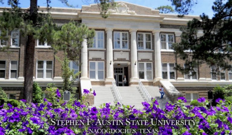 SFA announces 2021 Teaching Excellence Award recipients