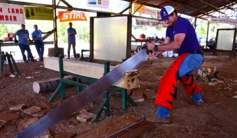 SFA Sylvans take top honors during Louisiana Forest Festival