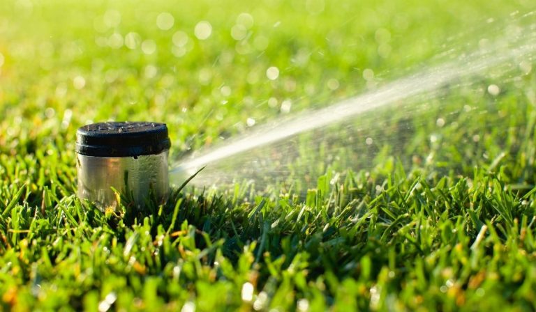 Give your Irrigation System an Audit