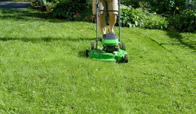 Getting Your Lawn Ready for Summer