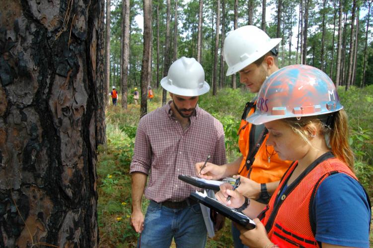 SFA’s forestry program receives top ranking