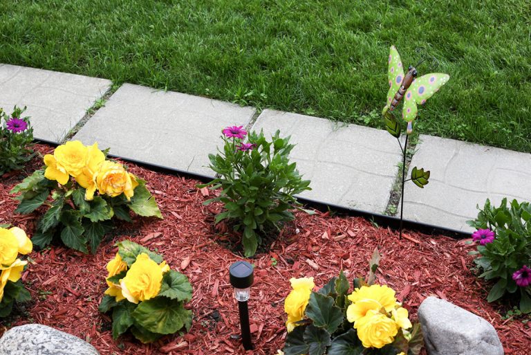 Benefits of Mulch During Summer (and any other time of the year).