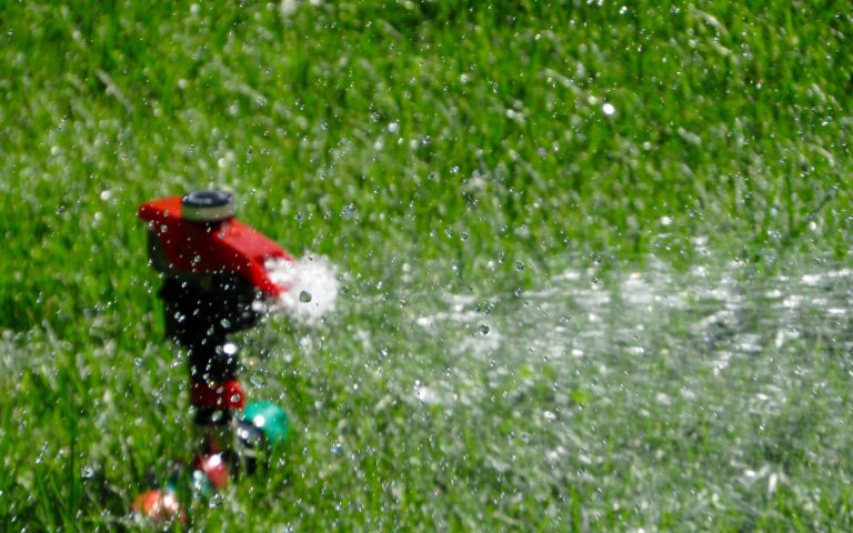 How and When to Water Your Lawn