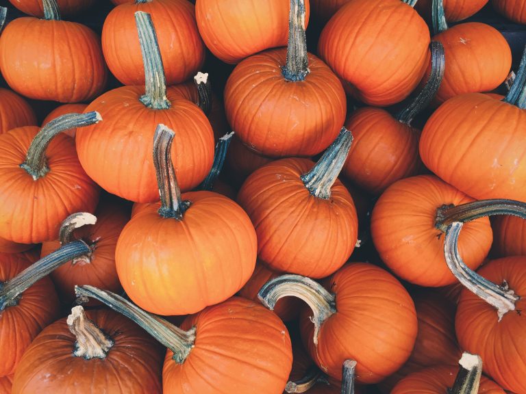 Pumpkins – the decoration that remains a vegetable and doesn’t have to be a methane contributor