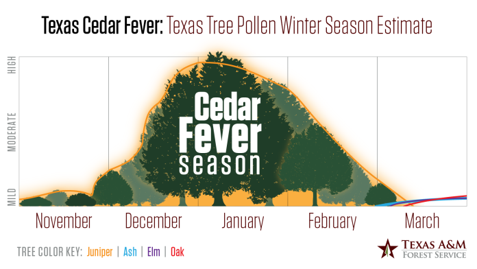 CedarFever2021