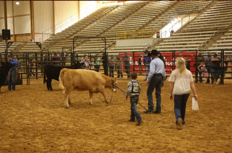 County Fairs, the youth, and those incredible volunteers