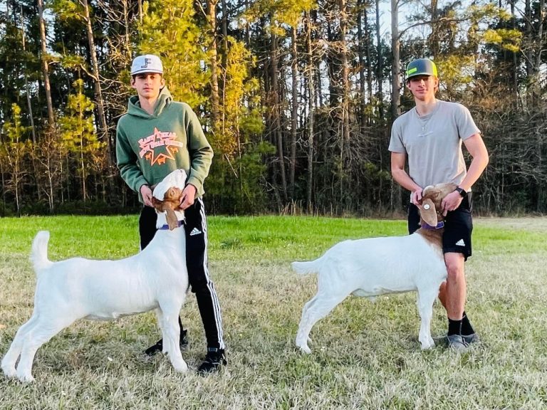 Jelinek Brothers Count Down to the Angelina County Fair