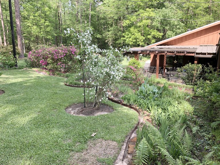 Nacogdoches: Garden Capital Hosting Tour of Home Gardens