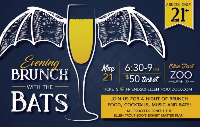 eveningwithbats