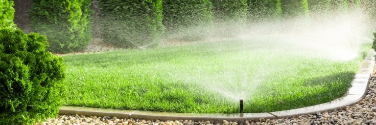 How and When to Water Your Lawn