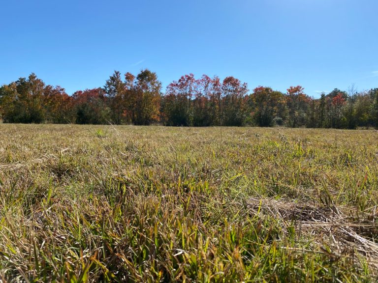 Places to Stay While You Are Adventuring!