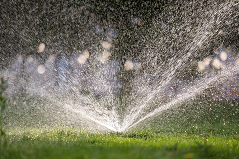 Irrigation and Water Conservation