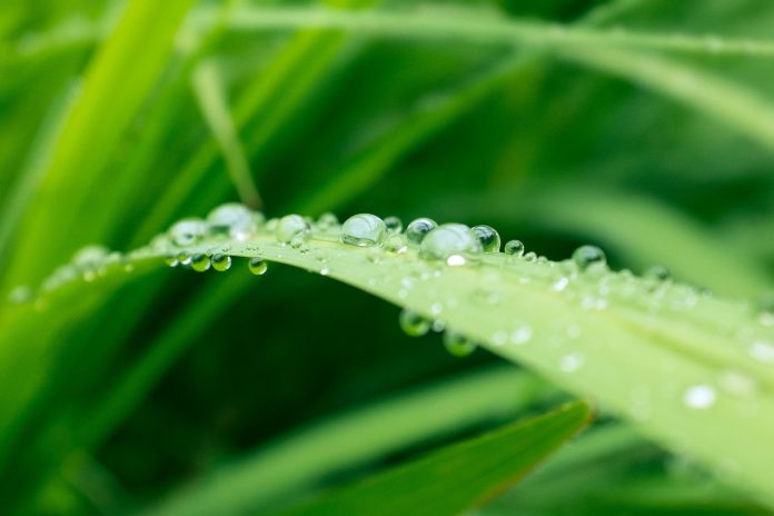 jonathan-hislop-XSSibD1bt80-unsplash