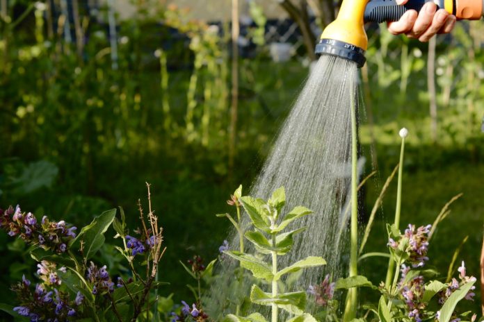 system-lawn-sprinkler-turf-care-smart-landsc-2022-11-16-10-05-50-utc(1)