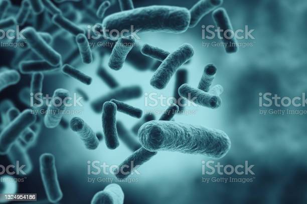 Salmonella exposure a risk for colon cancer