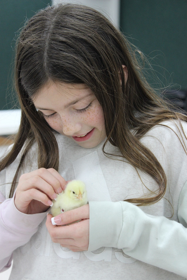 Kolby Ramsey Raises Broilers for the Angelina County Fair