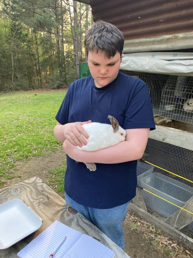 Zavalla Sophomore Shows rabbits at the Angelina County Fair