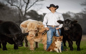 Riley Jenkins Shows a Market Steer Show at the Angelina County Fair