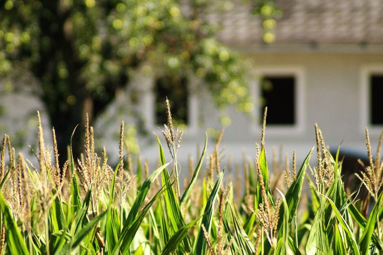 Now is the Time to Prep Your Lawn and Garden for Warm Weather