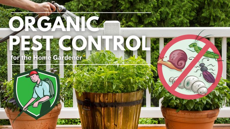 Organic Pest Control for the Home Gardener Organic Pest Control for the Home Gardener