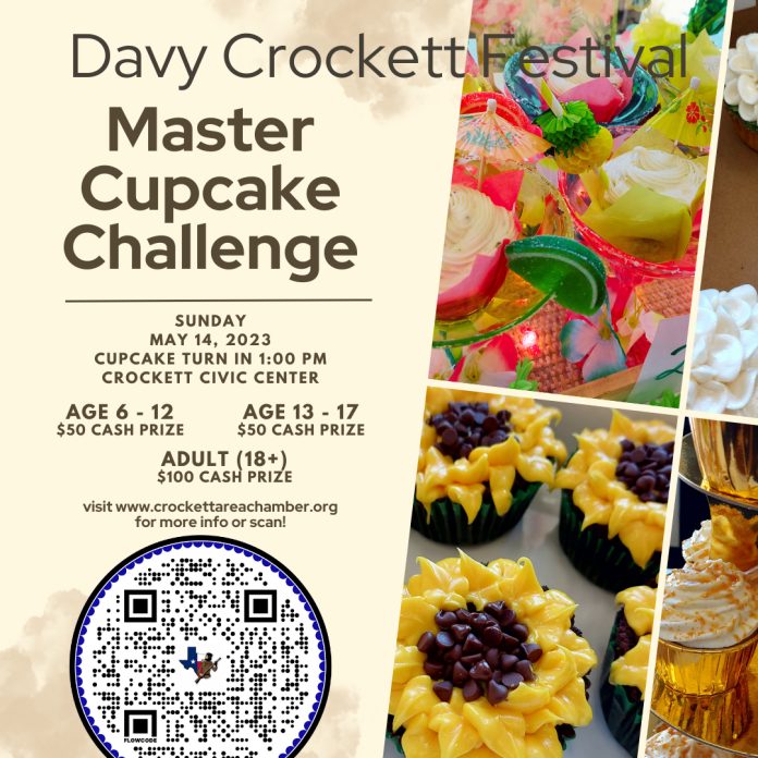 Master Cupcake Challenge
