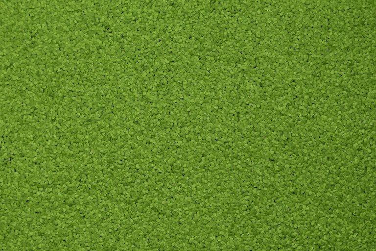 Controlling Weeds in Your Farm Pond