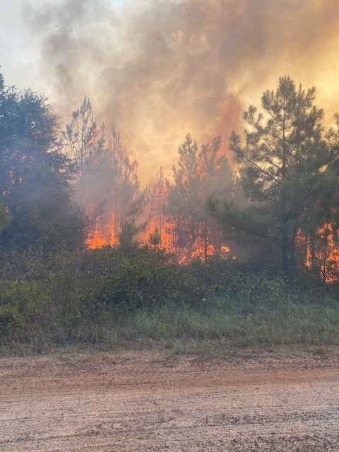 Texas A&M Forest Service Encourages Caution As Wildfire Danger Increases Statewide