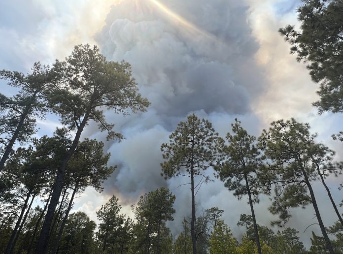 Shearwood Creak Fire_Jasper County
