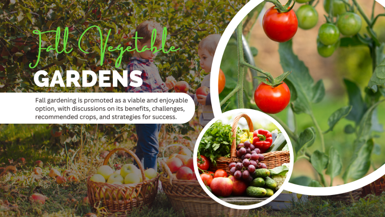 Fall Vegetable Gardens