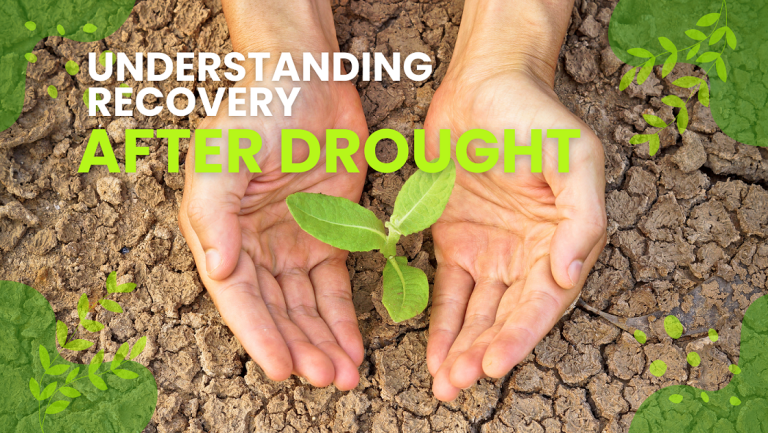 Understanding Recovery After Drought
