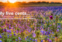 My Five Cents: A Monthly Column from Senator Column