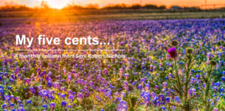 My Five Cents: A Monthly Column from Senator Column