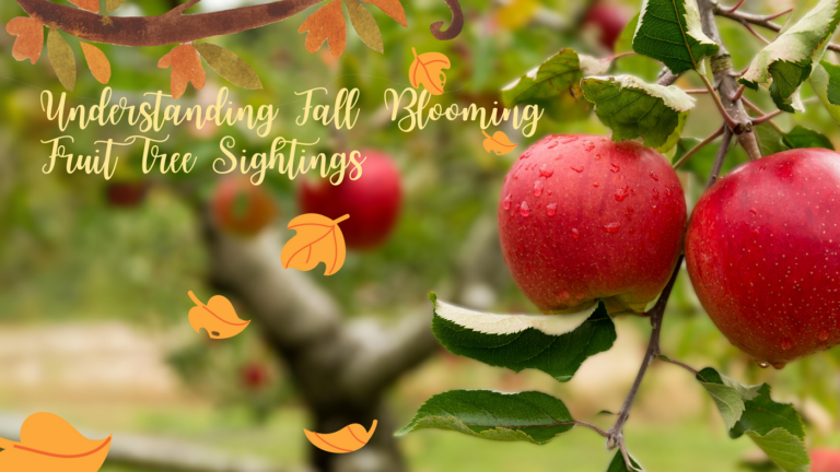 Understanding Fall Blooming Fruit Tree Sightings