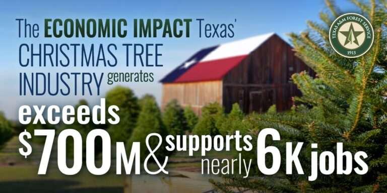 Real Texas Christmas Trees Boost Economy, Generating $397 Million in Direct Contributions