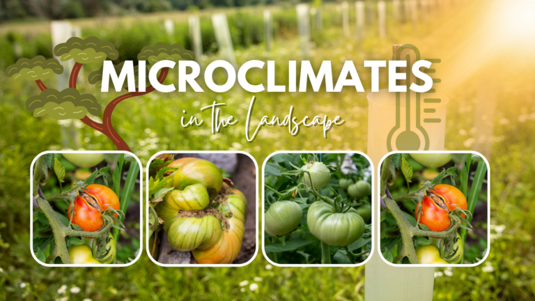 Microclimates in The Landscape