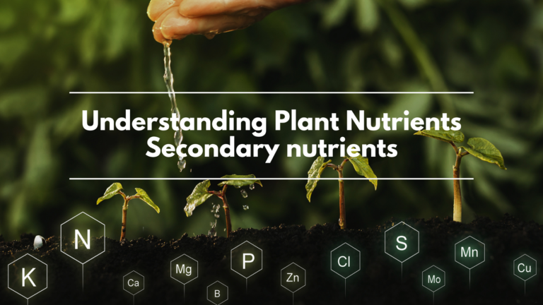 Understanding Plant Nutrients – Secondary nutrients
